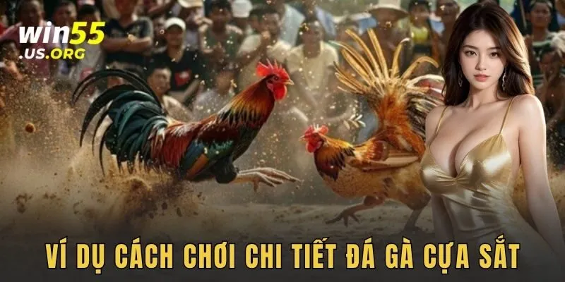 Ví dụ cách chơi chi tiết đá gà cựa sắt